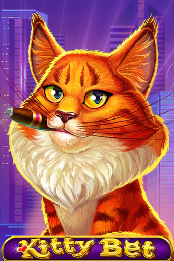 Kitty Bet ига на фантики | MaxBet без риска