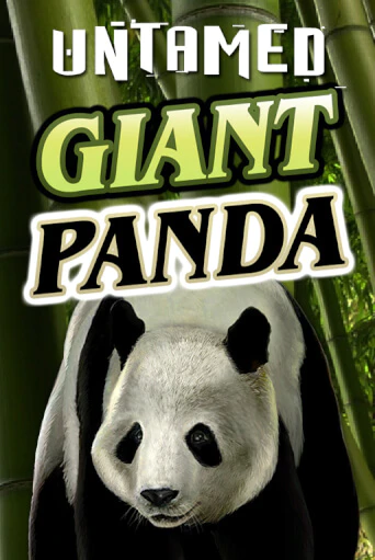 Untamed - Giant Panda ига на фантики | MaxBet без риска